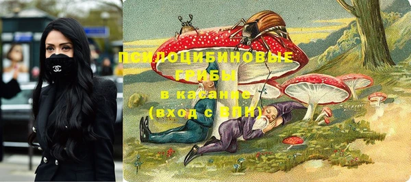 бошки Верхний Тагил