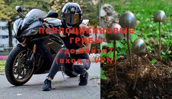 бошки Верхний Тагил